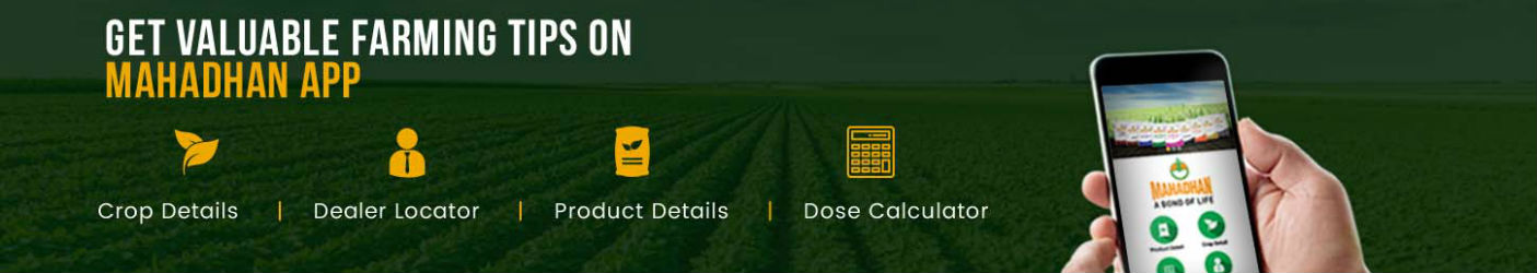 Crop Nutrition Business dissolving fertilizer in water