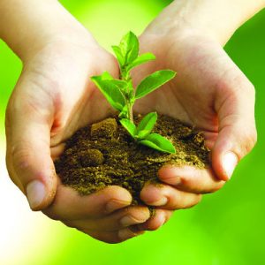 Leading Manufacturer of NPK and Specialty Fertilizers Leading manufacturer of NPK and specialty fertilizers in India